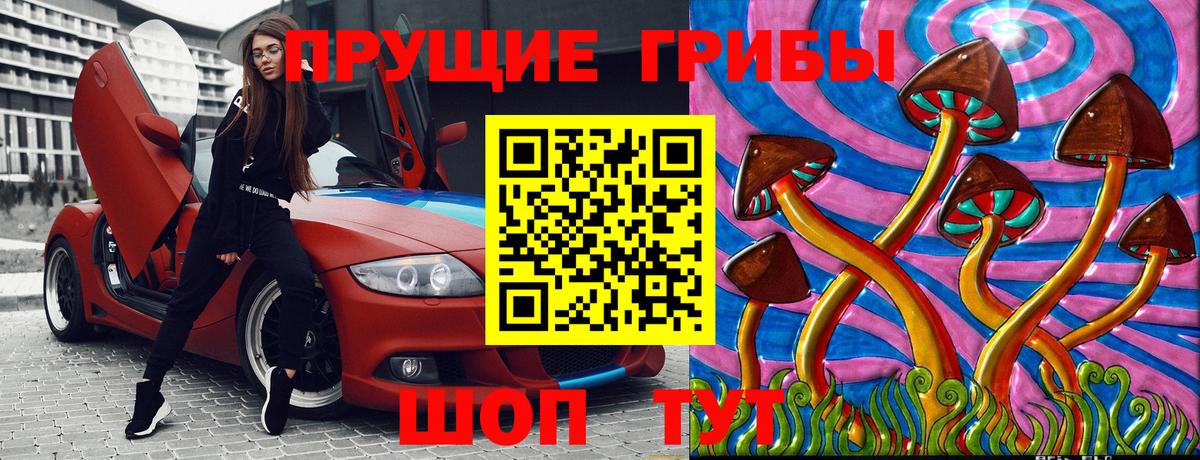 Отрадный  где можно купить   Вход с VPN  Галлюциногенные грибы ЛСД  Галлюциногенные грибы Psilocybine cubensis 
