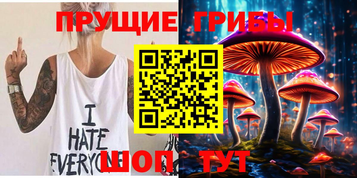 Галлюциногенные грибы Psilocybe Отрадный